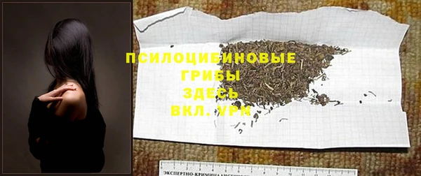 альфа пвп Новодвинск