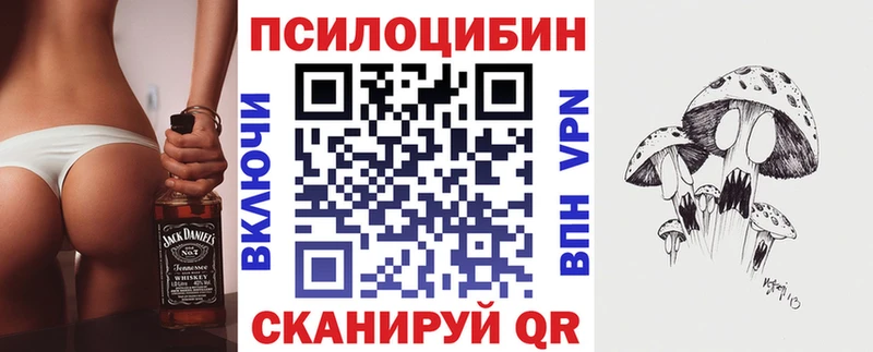 Псилоцибиновые грибы прущие грибы  Чекалин 